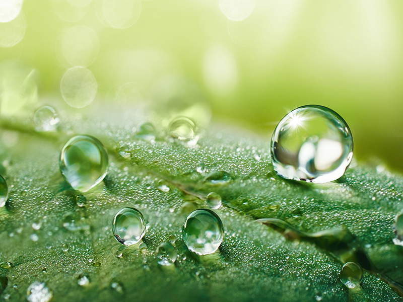 地球環境に優しく